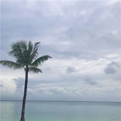 仙御沧海官方版(暂未上线)v1.0 安卓最新版